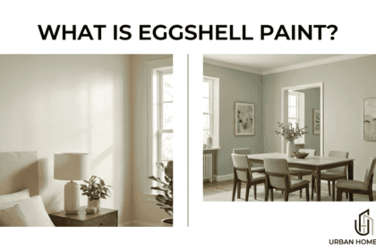 What Is Eggshell Paint